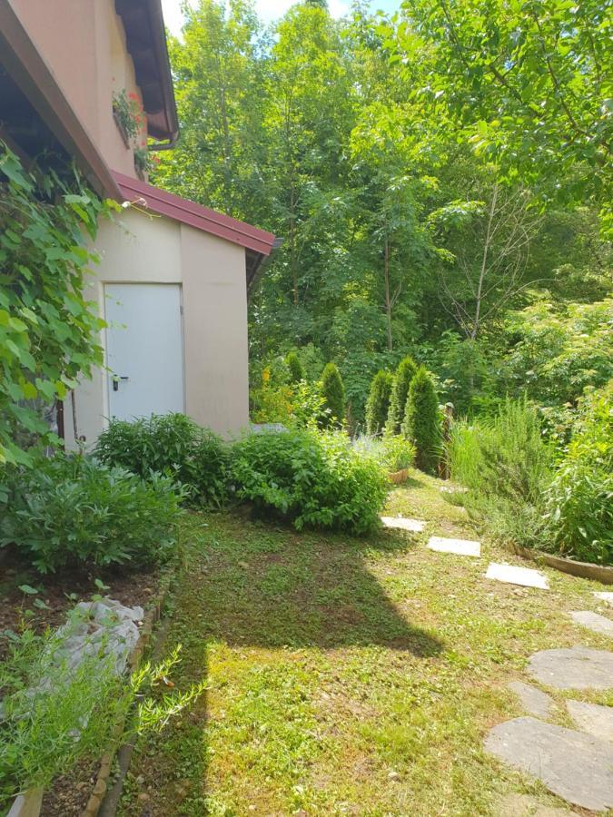 Apartment With Terrace Nona Pavla Tolmin Zewnętrze zdjęcie